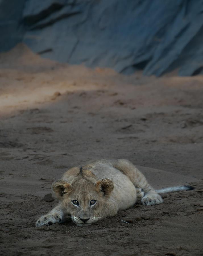 Rhino Sands Safari Camp Manyoni Private Game Reserve Εξωτερικό φωτογραφία